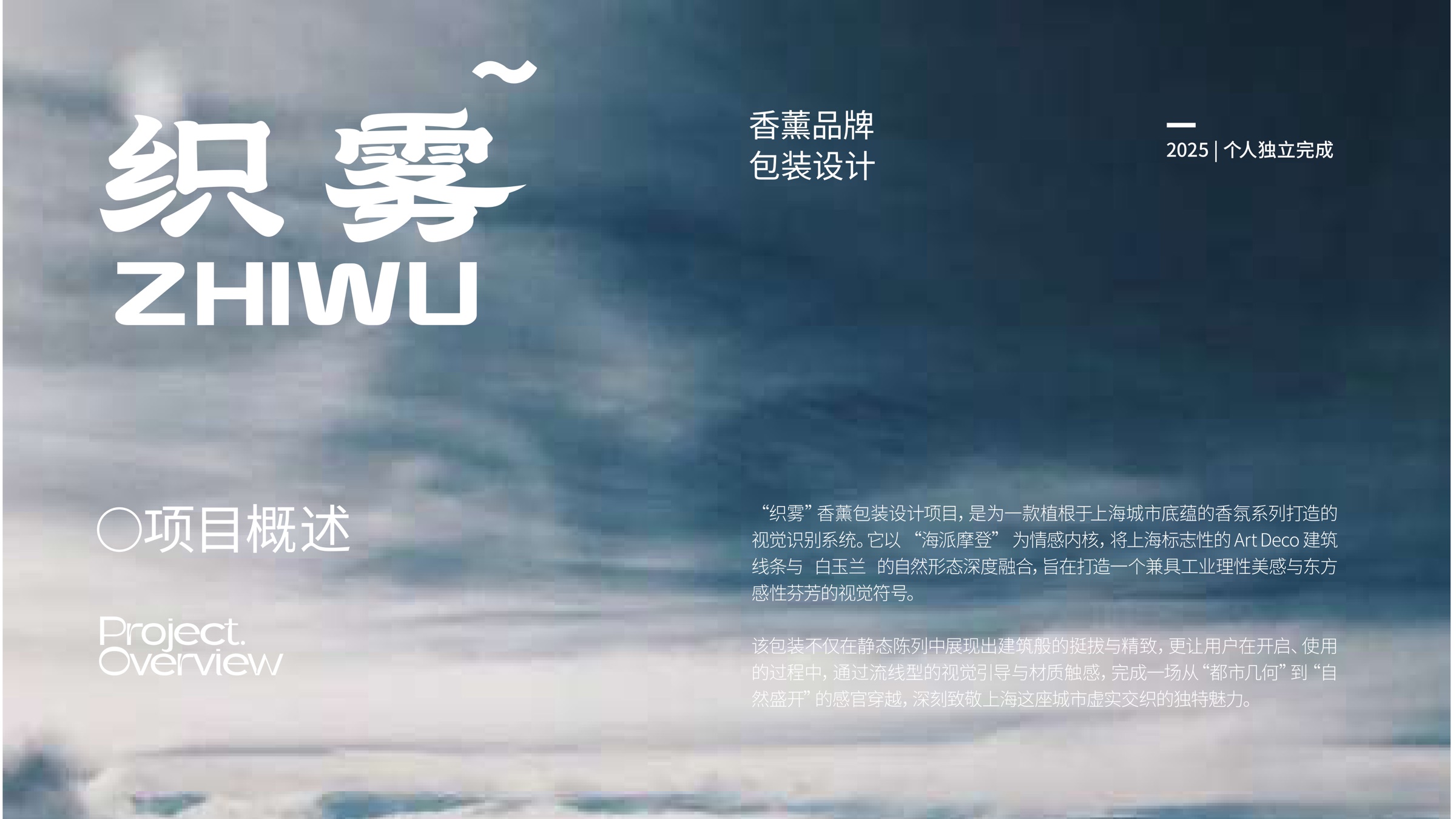 织雾项目概述