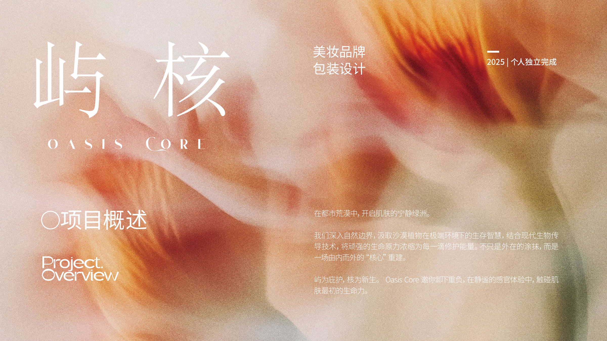 屿核项目概述