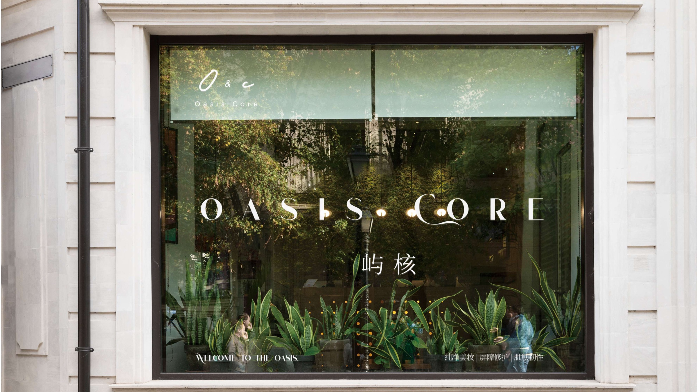Oasis Core 零售橱窗应用